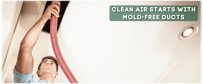 Air Duct Mold Removal in Lawrenceville