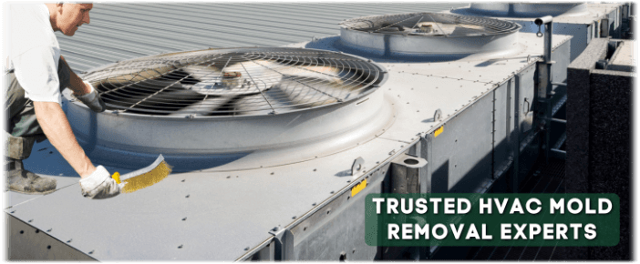 HVAC Mold Removal Lawrenceville